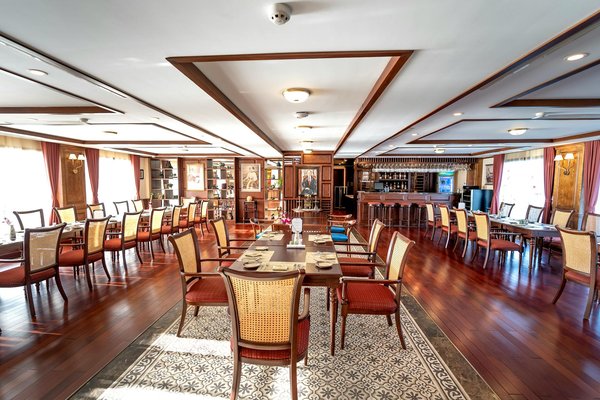 Quels sont les secrets des superaliments dans notre alimentation quotidienne ?